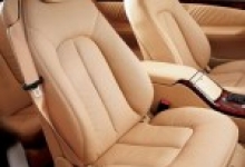 Ingrijirea interiorului de piele